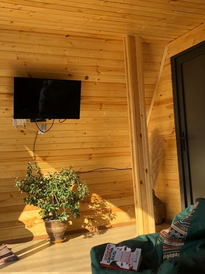Alagi Cottage Kazbegi 外观 照片