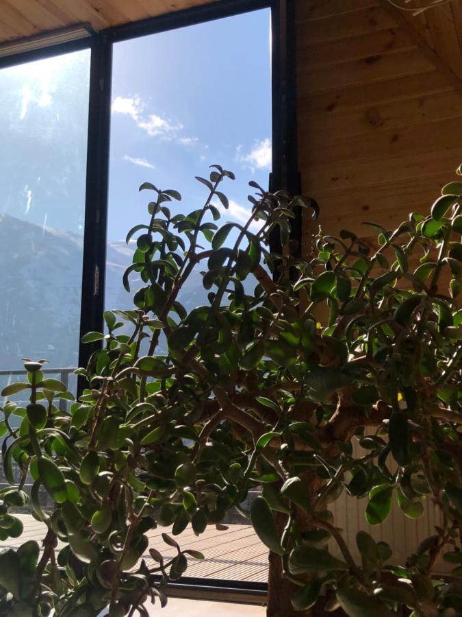 Alagi Cottage Kazbegi 外观 照片