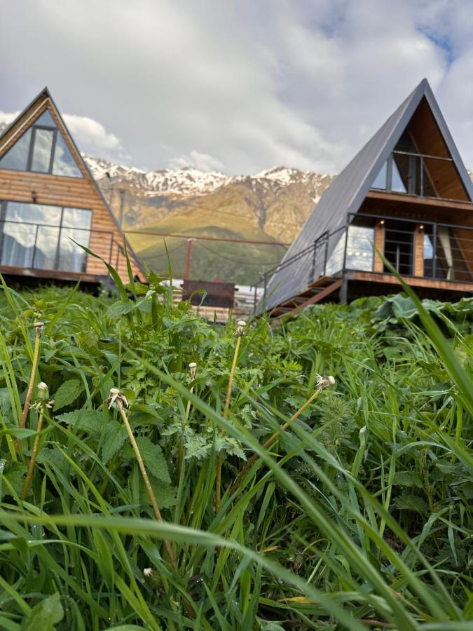 Alagi Cottage Kazbegi 外观 照片